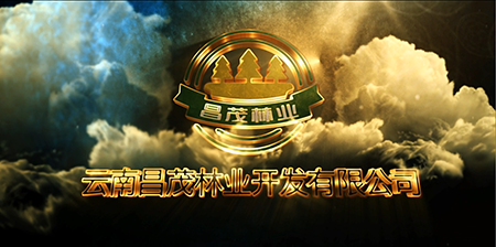 宣传片1.png