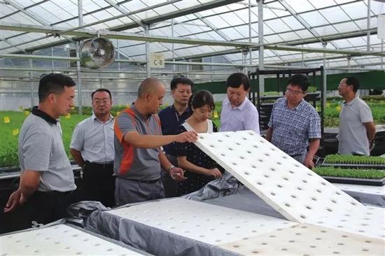 1550132375883490.jpg 2 - 640?wx_fmt=jpeg.jpg