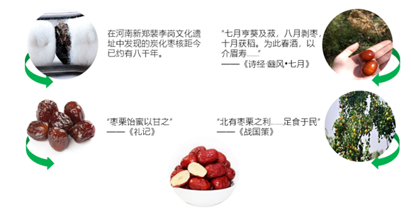 1690966205133.png